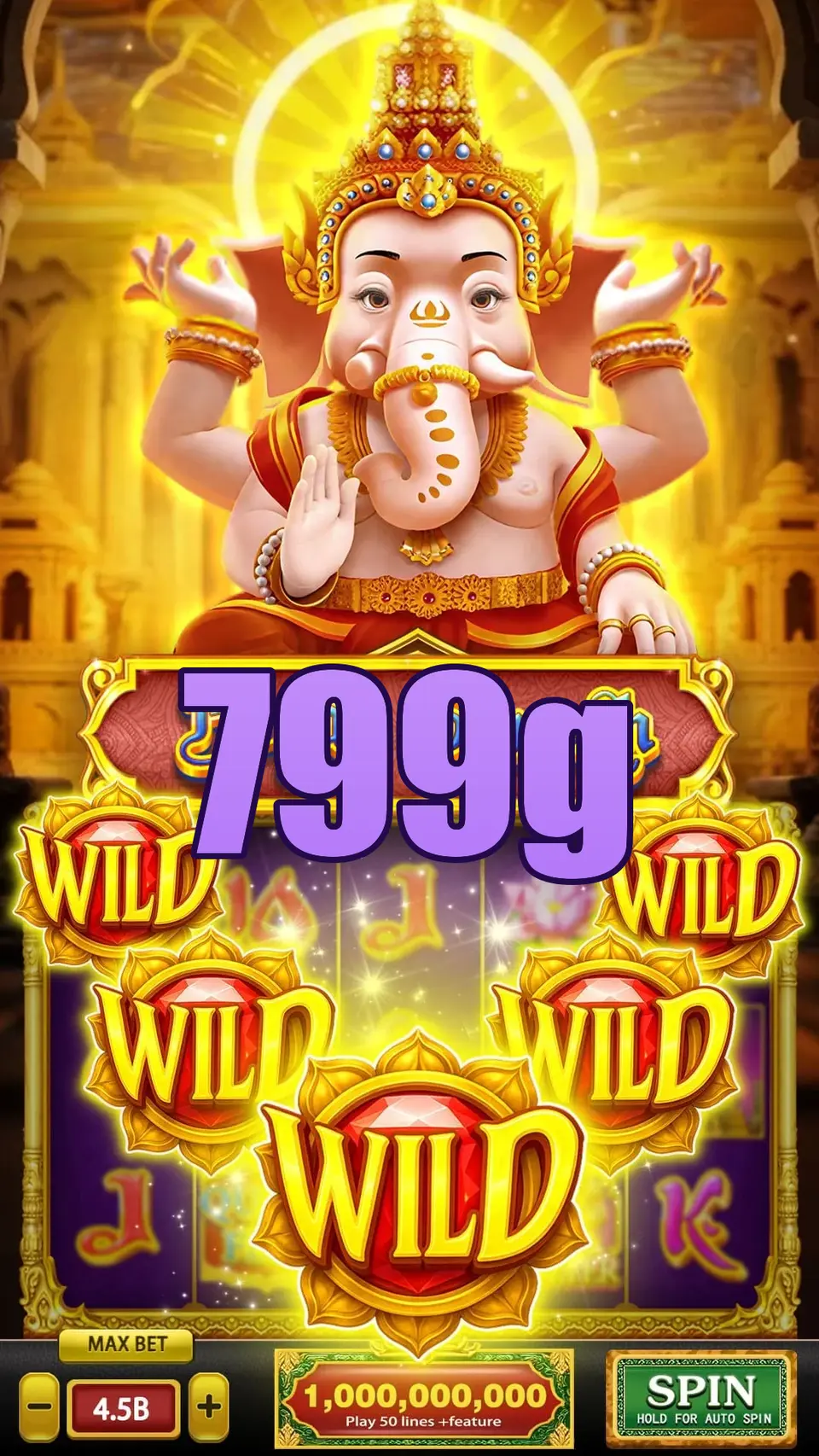 799g Login